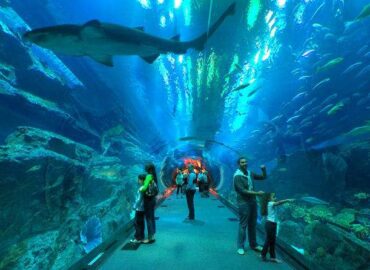 L’aquarium de la Rochelle